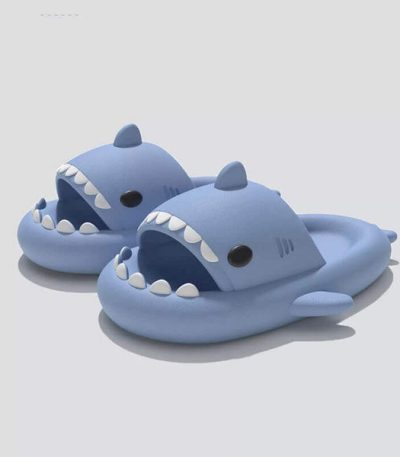 Blue Shark Slides